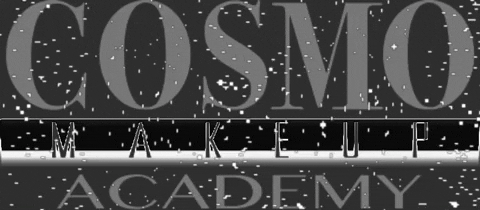 Cosmomakeupacademy cosmo makeup academy cosmomakeupacademy GIF