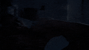 fox tv help GIF by 9-1-1 on FOX