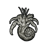 Marine Biology Beach Sticker by The Wild Curiosity