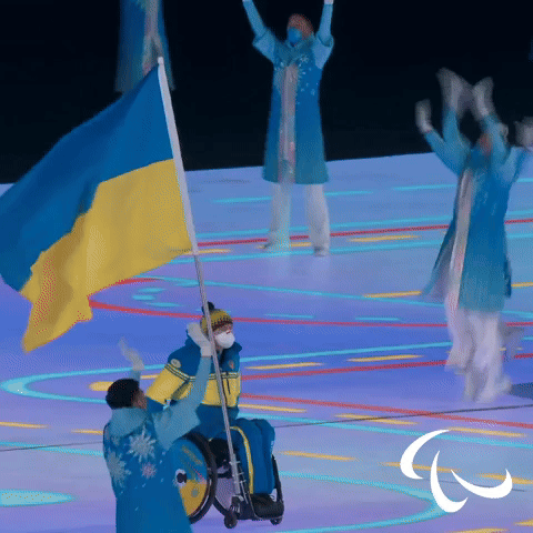 The Ukrainian Flag
