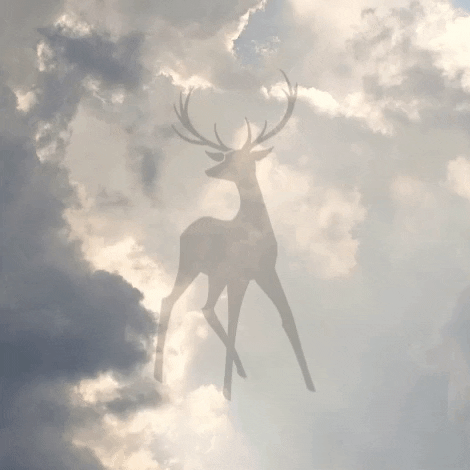 thetallis giphygifmaker GIF