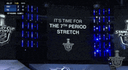 Ice Hockey Lol GIF by NHL