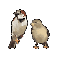 Sparrow Sticker by NYU Faculty Housing