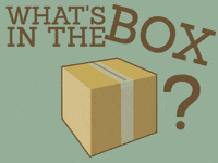 Kyle Whats In The Box GIF