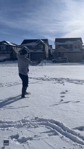 Enthusiastic Dog Struggles to Find Snowball After It Lands in Snow