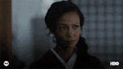 season 2 dolores GIF by Westworld HBO