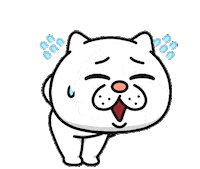 Sorry Cat Sticker