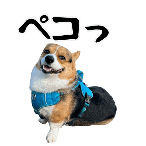 Corgi 了解 Sticker