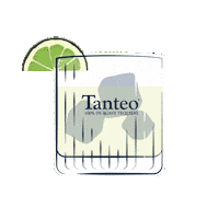 Cheers Tequila Sticker by Tanteo
