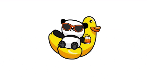 Holiday Swimming GIF by The Cheeky Panda