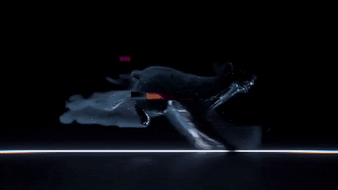 dog 3d GIF by alessiodevecchi