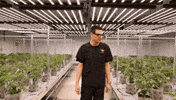 Tour Grow GIF by Exclusive Brands