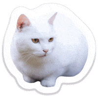 sassy cat Sticker by Pets Add Life