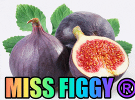 EfecantarimMissFruits missfiggy missfruits black fig GIF