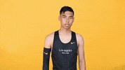 Los Angeles Sport GIF by Cal State LA Golden Eagles