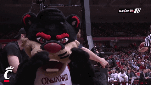 cincinnati bearcats laugh GIF by University of Cincinnati Men's Basketball
