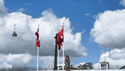 Great Danes Flag GIF