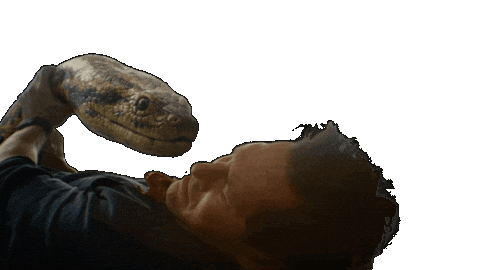 Anaconda Sticker by Sony Pictures