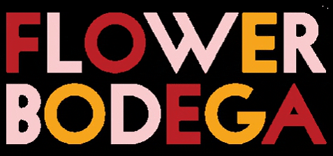 flowerbodega giphygifmaker giphyattribution flowerbodega GIF