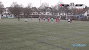 Kickers Offenbach Goal GIF by 3ECKE11ER