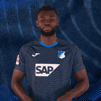 Sport Bundesliga GIF by TSG Hoffenheim