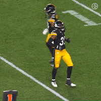 Celebration Nfl GIF by Pittsburgh Steelers