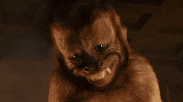 Movie gif. Crystal the Capuchen Monkey as Dexter in Night at the Museum, face cast down in postured shyness, looks up coyly, smiling.