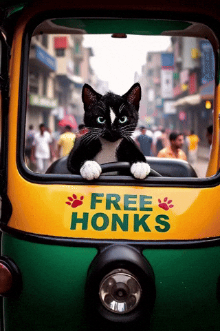 Traffic Jam India GIF by Felini Rocks