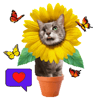 Love It Hello Sunshine Sticker