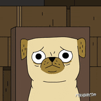 Cat Fox GIF by Animation Domination High-Def