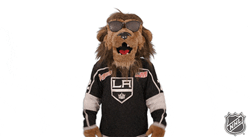 Ice Hockey Reaction GIF by NHL
