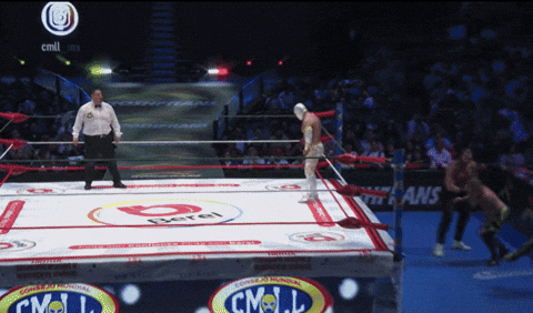 apolovaldsperiodista giphyupload GIF