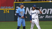 Blue Jays Fight GIF by Toronto Blue Jays