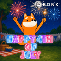 Crypto Solana GIF by BONK