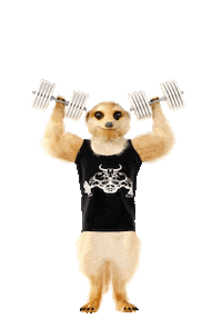 Spliffseedsamsterdam Sticker by Spliff Seeds