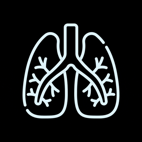 ourbreathcollective giphyupload breathe breathing lungs GIF