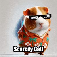 GIF by Guinea Gambino