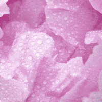 Birthday Cake GIF by TeaCosyFolk