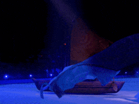 Feld Entertainment GIF by Disney On Ice
