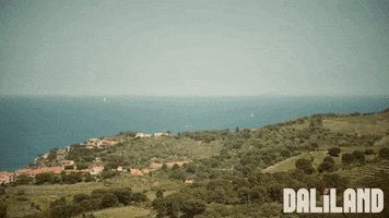 Salvador Dali Art GIF by Magnolia Pictures
