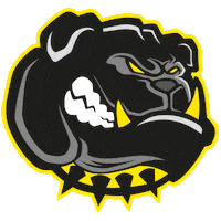 Americanfootball Sticker by Amberg Mad Bulldogs