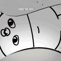 No What GIF
