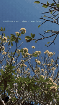 Makeup GIF by The Shampoo Lounge