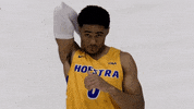 Basketball GIF by Hofstra Pride