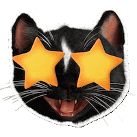 Star Struck Sticker by Felini Rocks