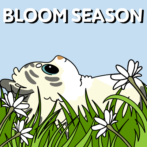 Bitcoin Spring GIF by Ordinary Frends