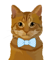 Cat Pet Sticker by Watertown Humane Society