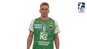 Handball-Bundesliga What GIF by LIQUI MOLY HBL