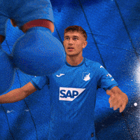 Sport Bundesliga GIF by TSG Hoffenheim