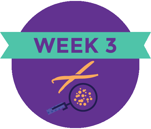 Pregnancy Baby Size Sticker by What to Expect